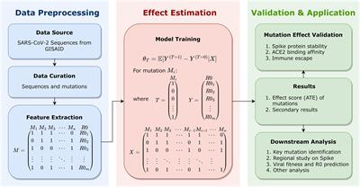 Evaluating the effect of SARS-CoV-2 spike mutations with a linear doubly robust learner